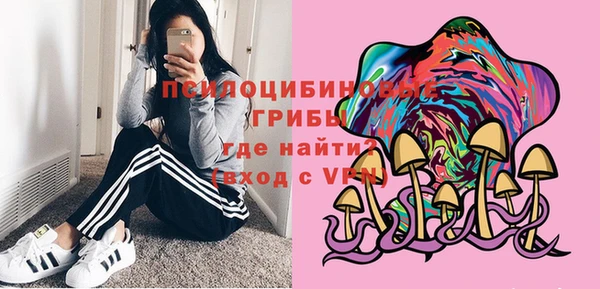 МДПВ Инта